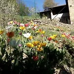 Occitania Gravere