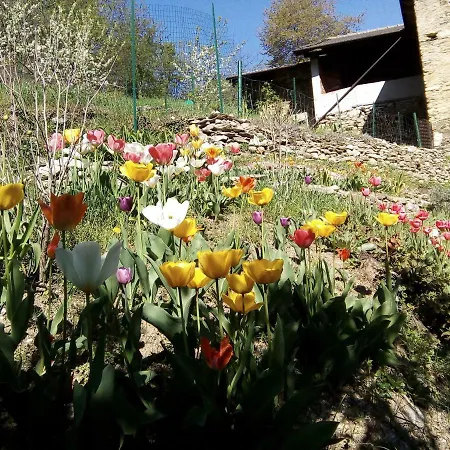 Occitania Gravere