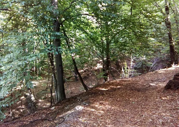 Holiday home Occitania