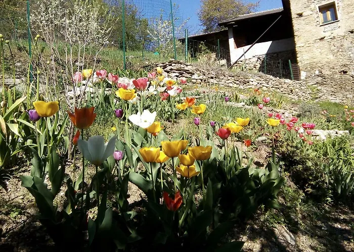 Occitania Gravere